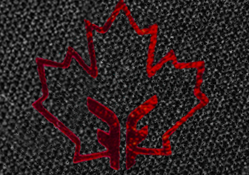 Red maple leaf, outlined with red metallic, on a black textured background. The design symbolizes resilience and strength, perfect for representing Canadian-themed protective headbands.