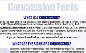 Free Concussion Fact Sheet