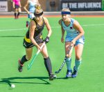 Field Hockey Protective Sweatbands by Forcefield® Safety Spirit